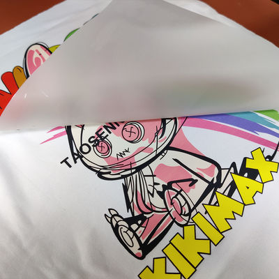 अच्छी कीमत निःशुल्क नमूना डबल साइड मैट डीटीएफ 30 सेमी 60 सेमी कोल्ड पील हॉट पील पालतू फिल्म डीटीएफ रोल ऑनलाइन