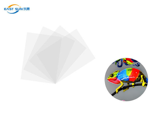 अच्छी कीमत पारंपरिक चौड़ाई 60 सेमी 33 सेमी 30 सेमी डीटीएफ हीट ट्रांसफर फिल्म सफेद रंग ऑनलाइन